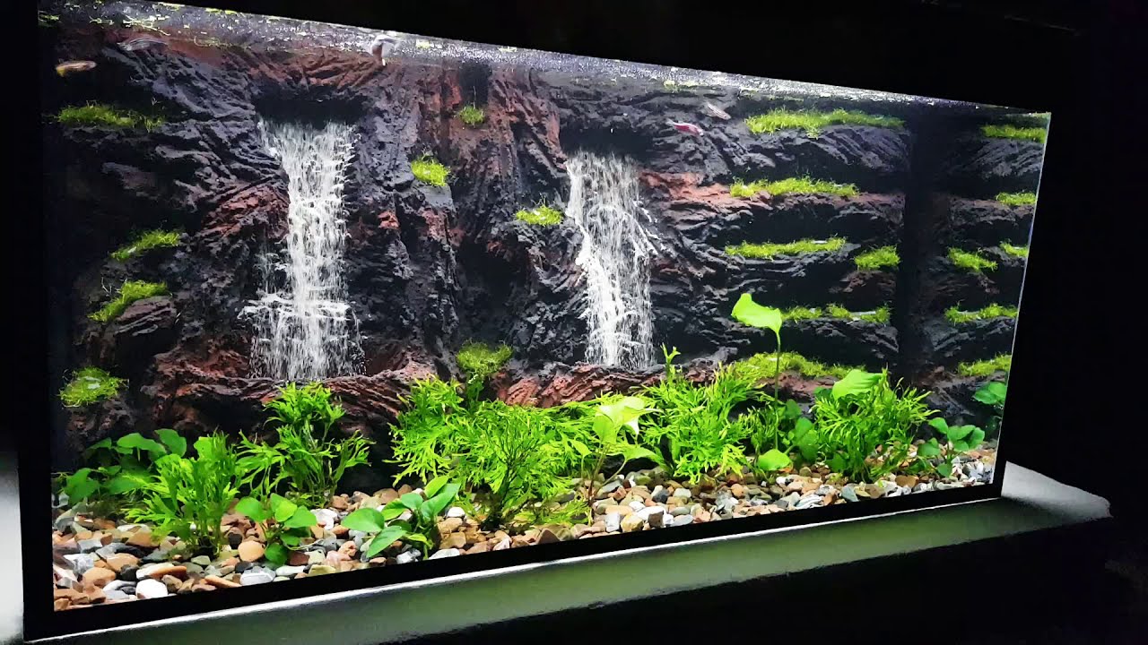 Make a 3D Aquarium Background  14 Steps with Pictures  Instructables
