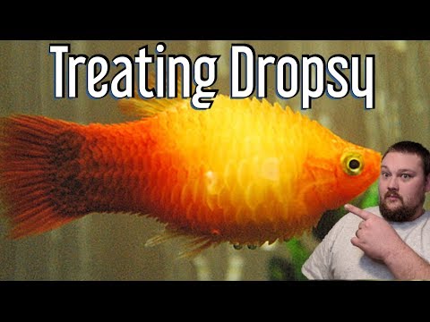 Video: Dropsy Uz Rokām - Cēloņi Un ārstēšanas Metodes