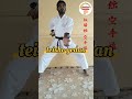 #Gedan Teisho Attack #shotokan karate #short video