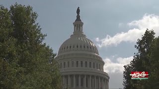 Minnehaha Co. still counting votes; Trump wins White House