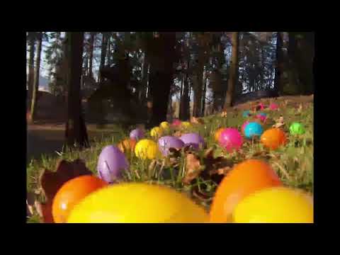 Video: Velikonočna Jajca