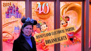 Tokyo Disneyland Electrical Parade Dreamlights January 2024.