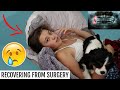 SHE HAD HER WISDOM TEETH REMOVED! FAMILY VLOG