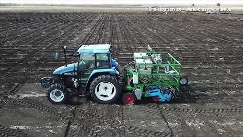 Plant Breeding Services in Australia from EAS Group