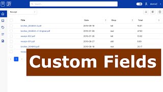 Custom Fields