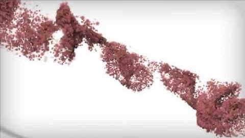 Clear Browser Cache Internet Explorer 8 & 9