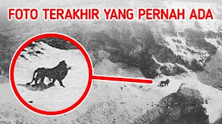 Download Lagu Pertemuan Terakhir dengan Spesies yang Telah Punah MP3 Download Lagu Pertemuan Terakhir dengan Spesies yang Telah Punah MP3