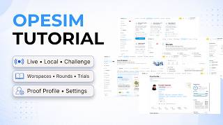 Celebrity Opesim Interface Walkthrough Net Worth