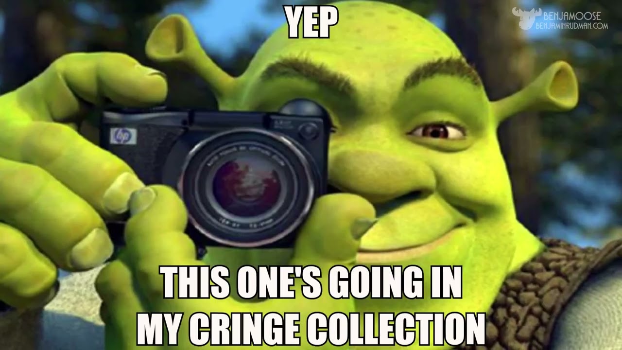 shrek and fiona few a hours into their honeymoon, Shrek's Cringe  Compilation