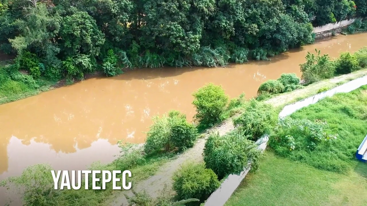 Río Yautepec, revista digital Agua Simple - YouTube