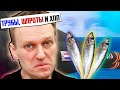 ХИТРЫЙ ПЛАН Путина, трубы, шпроты и хомяк "Н"