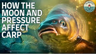 How Important Pressure, Wind & Moon Is For Carp Fishing (This Will Surprise You) 