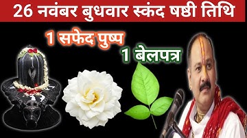 26 नवंबर मार्गशीर्ष बुधवार षष्ठी तिथि के दिन 1 सफेद पुष्प और 1 बेलपत्र वाला उपाय जरूर करेंPradeep ji