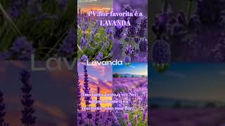 #flor#lavanda#videos#editados#clay#clayyyy#canal#ana#beatriz#amiga#amigas