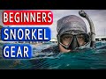 Snorkeling Gear for Beginners 🤿 Best Snorkel Mask Snorkel Gear to get Started