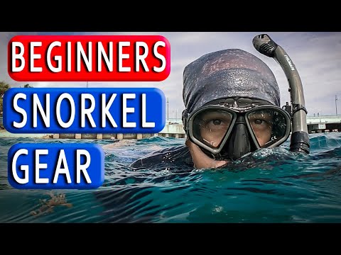 Video: What You Need For Snorkeling