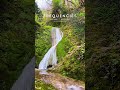 Forest Waterfall Energy 🌲💧 432Hz Healing Sounds for Stress Relief & Deep Calm (1 Minute) #shorts