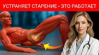 видео: Старше 60: Прекратите Ходить, Эти 5 Медицинских Упражнений Делают Гораздо Больше Для Вашего Тела картинка: Старше 60: Прекратите Ходить, Эти 5 Медицинских Упражнений Делают Гораздо Больше Для Вашего Тела