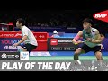 HSBC Play of the Day | What a way to win a point!