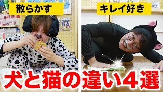 【寸劇】犬と猫の違い4選！擬人化してみたらツンデレすぎた！