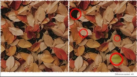 Explaining the samples : Spot the differences