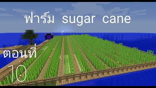 มายคราฟ 1.15.2: ทำฟาร์มsugar caneขนาดใหญ่ #10 | Minecraft เอาชีวิตรอด