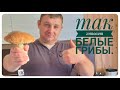 Так готовят белые грибы. Мачанка с белых грибов. Так готовят грибы в Карпатах. Блюдо с белых грибов.