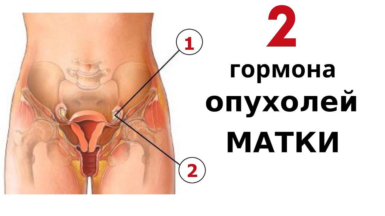 Предложила подкачать мышцы влагалища языком