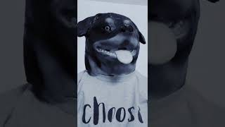 My dog loves African music 🎶 subscribe 🤝