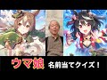 【ウマ娘】サポートカードで名前当てにチャレンジ