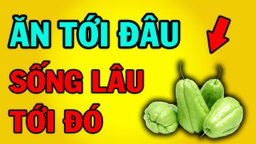 Ăn SU SU Liên Tiếp Trong 3 Ngày 22 Lợi Ích Về Sức Khỏe Bạn Còn Dám Coi Thường?