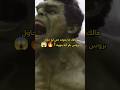هالك ما يموت حتى لو حاول بروس بانر أنه ينهيه