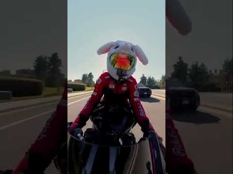 You Can T Win All The Street Races Sometime You Just Gotta Let Them Get Away With It Wildeir