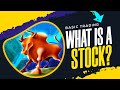 What Is Stock ?