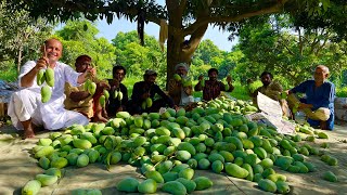 World Famous Pakistani Mangoes | Mangoes Harvesting | Mango Farming Multan | Mubashir Saddique