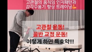 [집에서 교정운동]고관절 통증, 골반교정운동은 안정성 있게!!