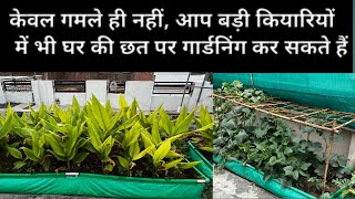 Terrace Gardening with Big Size Grow Bags | Easy to Manage कैसे करें छत पर बड़ी क्यारी में गार्डनिंग