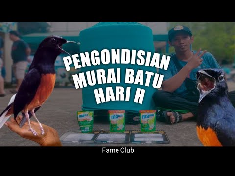 Video: Bagaimana hari H?