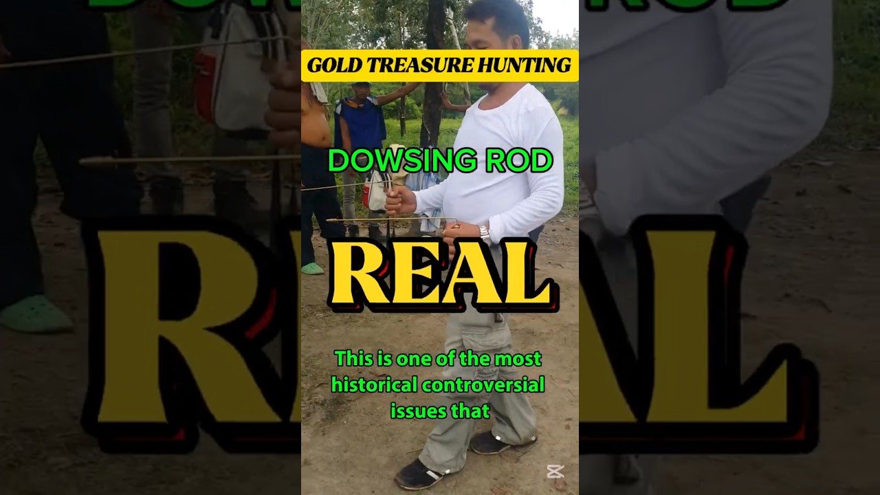 СОКРОВИЩА VS БИОЛОГИЧЕСКОЕ ИССЛЕДОВАНИЕ 