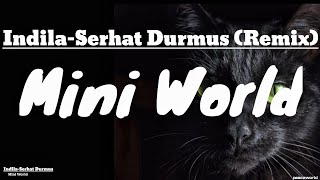 Mini World lyrics | Indila - Serhat Durmus (remix)
