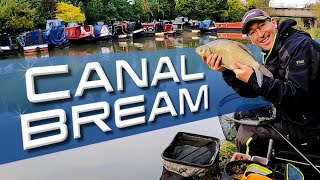 Canal Bream Fishing