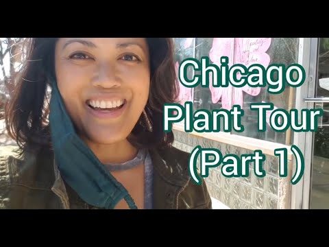 Chicago Plant Shop