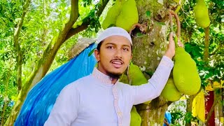 বাংলাদেশের জাতীয় ফল কাঁঠাল । National fruit of Bangladesh