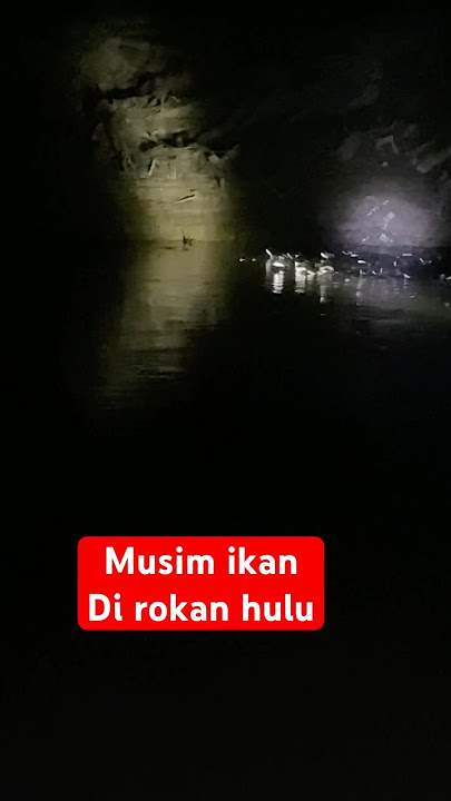 MUSIM IKAN GAMAK MUDIK DI ROKAN HULU