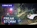 Freak storm rips through south-west Sydney suburb | 9 News Australia