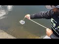 MAGNET FISHING! What Did We Find?