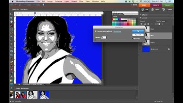 Warhol Pop Art Portrait Adobe Photoshop Elements Instructions