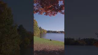 Fall Foliage on Wellesley&#39;s Campus