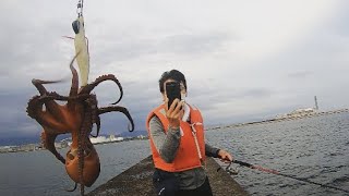 2020今天第一次钓到了章鱼！【日本钓鱼】