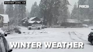 FOX26 live at Shaver Lake